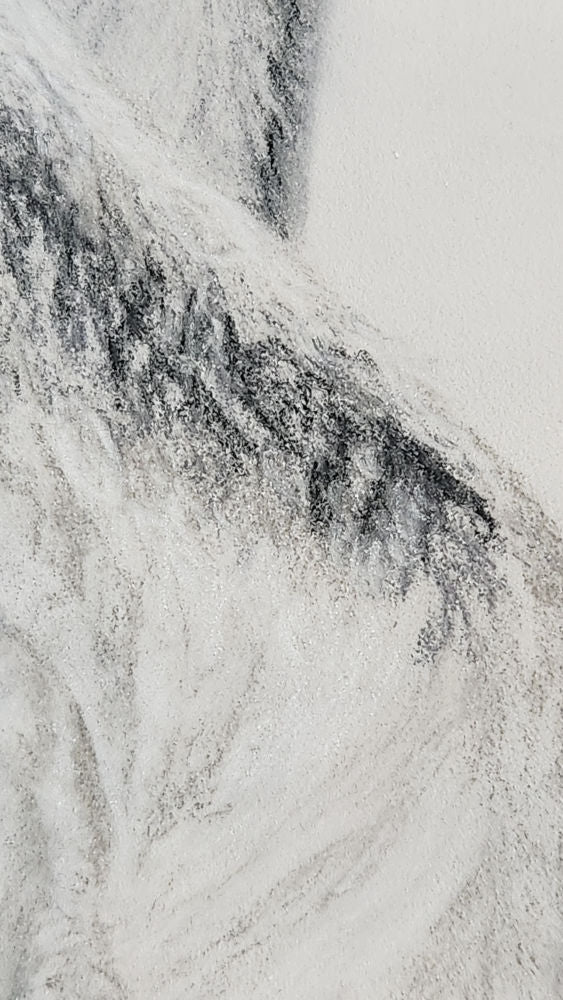 "She-Wolf" 14x11" Pastels on pastelmat image 6