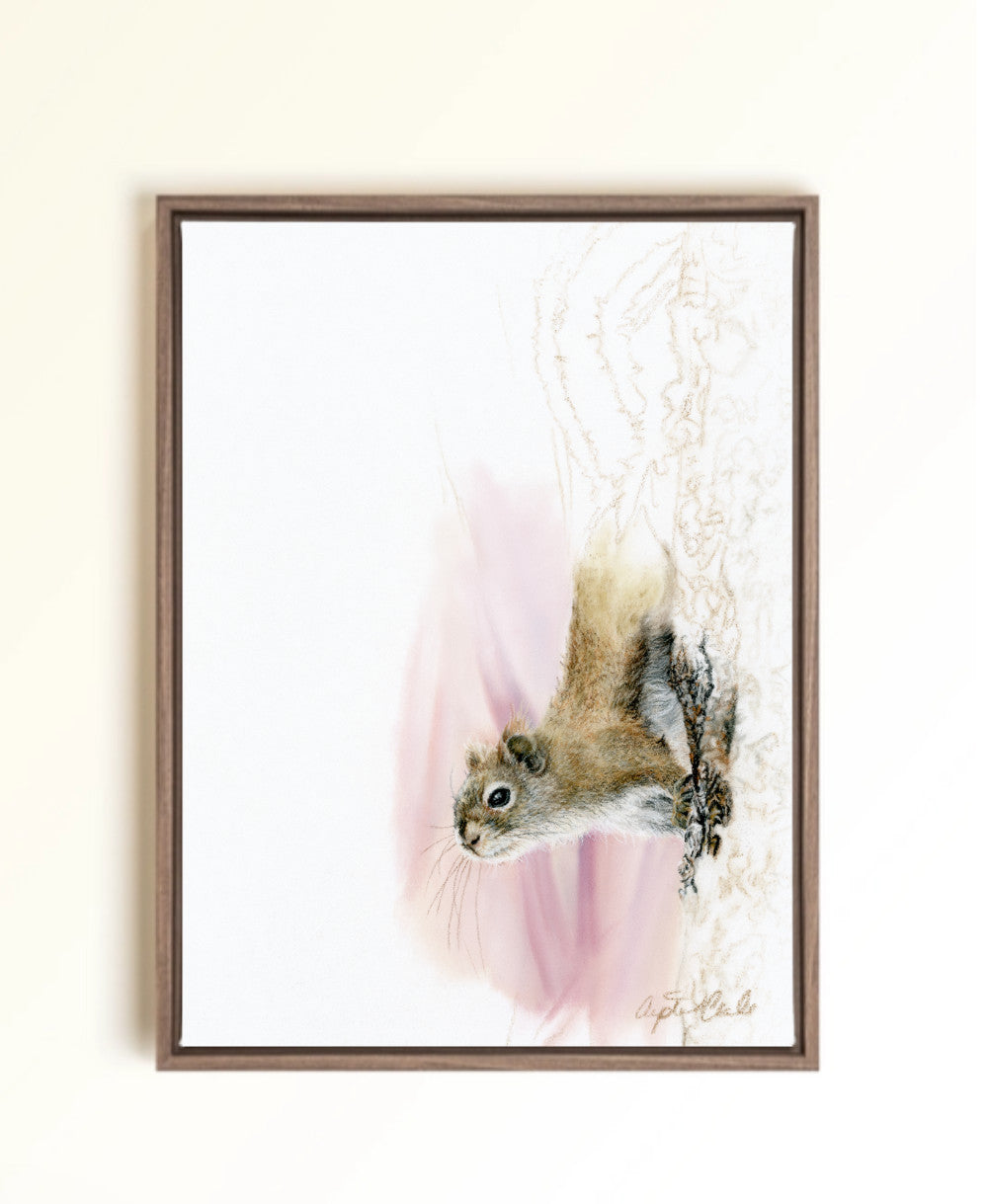 A framed art print featuring a pastel drawing of a squirrel on a white background with soft pink and beige abstract washes, mounted against a light beige wall. Drawn by Crystal Clarke