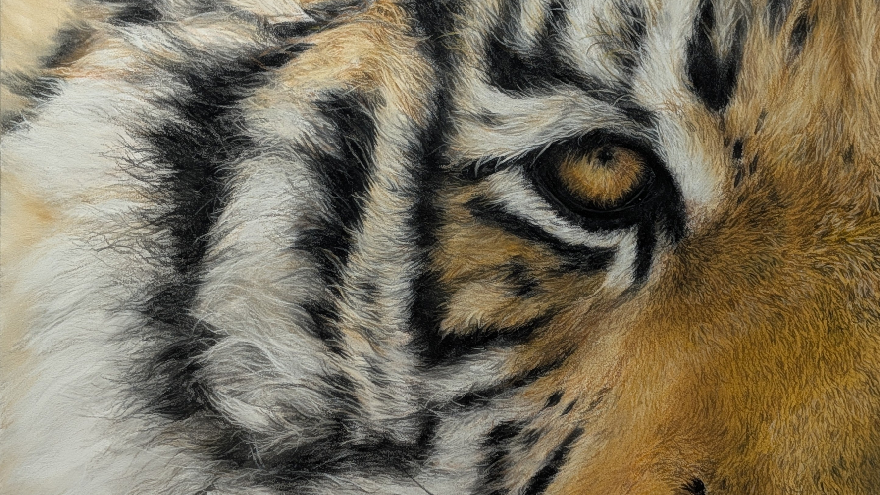 drawing close-up of a tiger's face with detailed fur and eye.