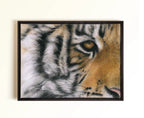 A framed close-up tiger face artwork hanging on a light beige wall. The print or painting shows the tiger's face in profile with orange, black, white, and gray fur details, enclosed in a dark frame.