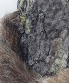 Close-up of a textured tree surface with brown and gray tones, drawn by Crystal Clarke 