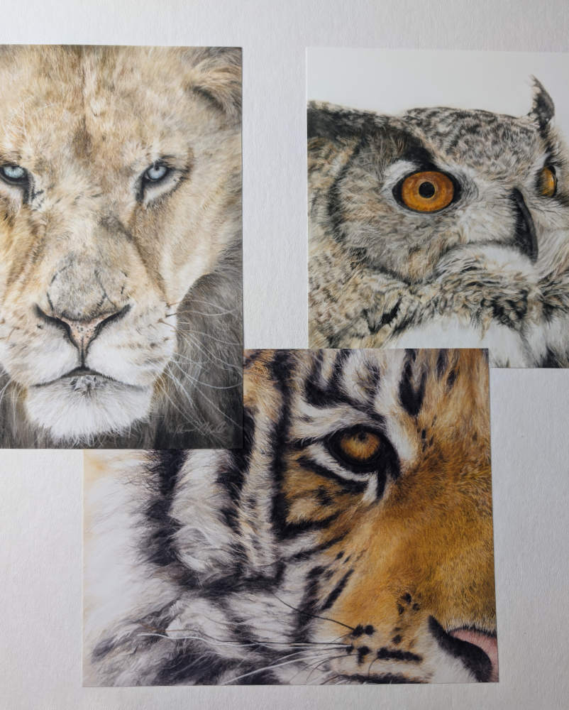 Three fine art print of the What Lies Within Collection