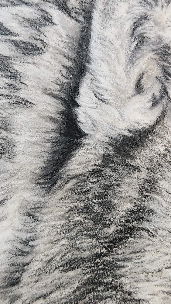 'She-Wolf' Wolf Fine Art Print image 5