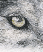 'She-Wolf' Wolf Fine Art Print image 4