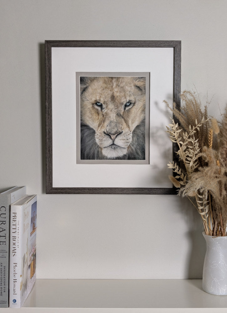 Framed artwork of a lion's face on a shelf with books and a vase.