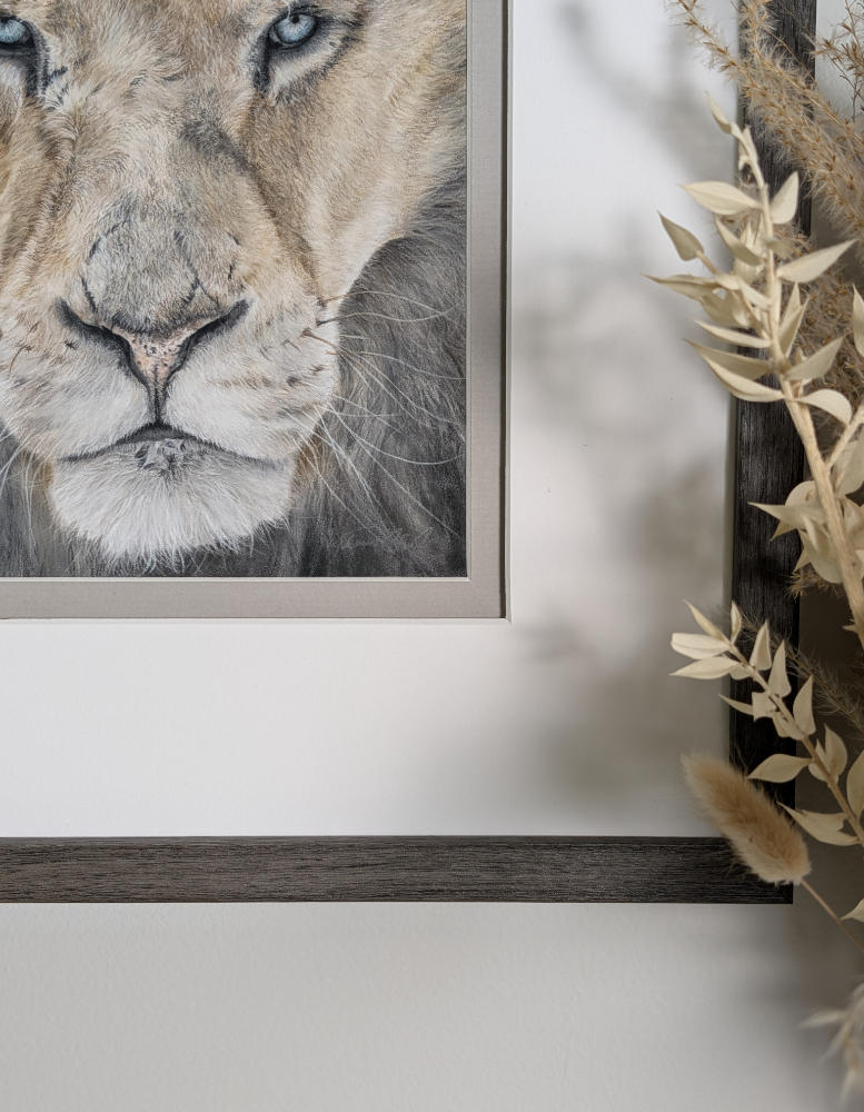 Framed picture of a lion's face on a wall with decorative elements.