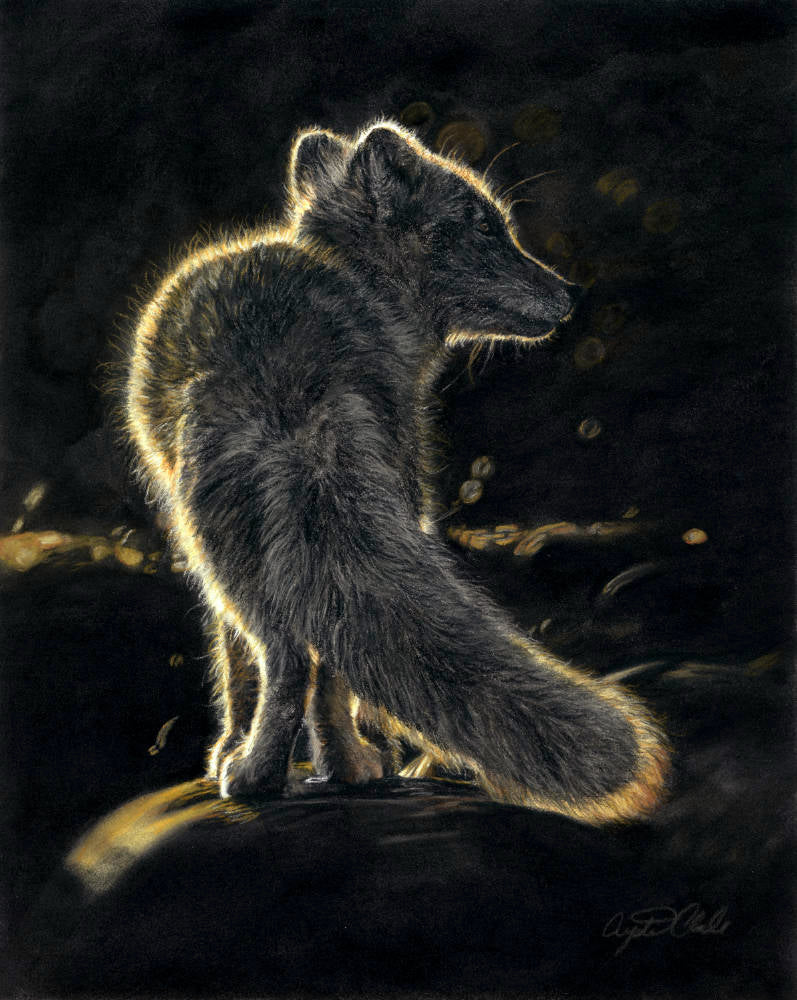 Arctic Fox Fine Art Print 'Light After Darkness'' image 0