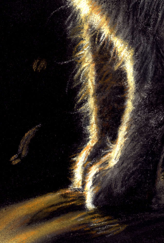 Arctic Fox Fine Art Print 'Light After Darkness'' image 1