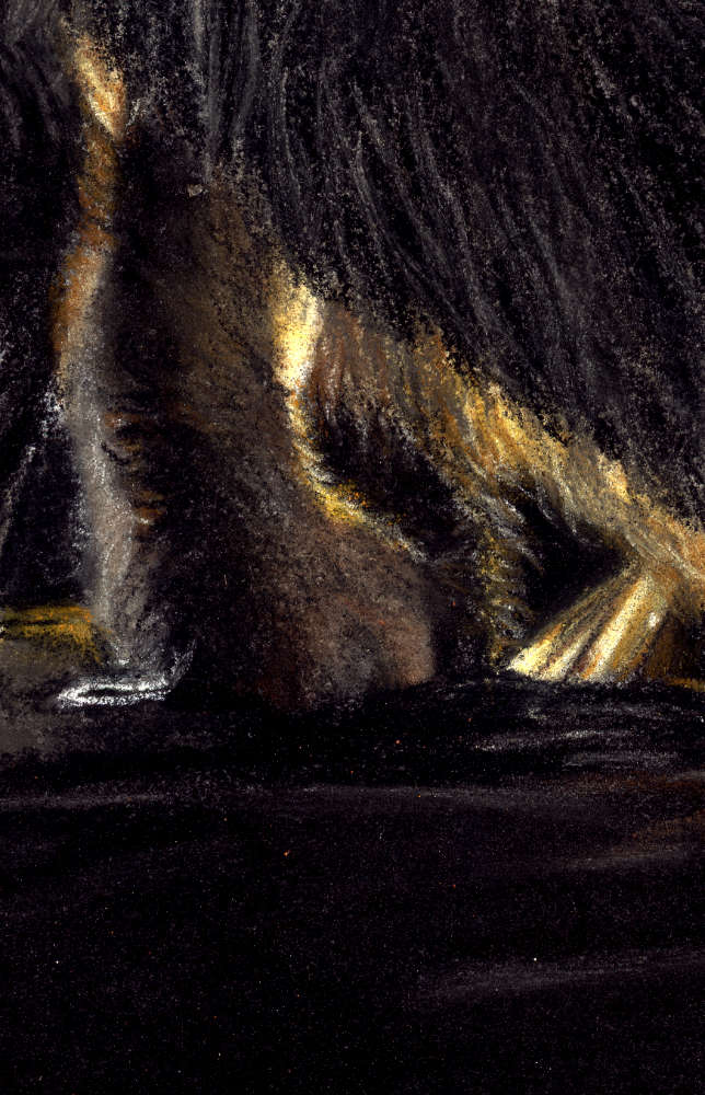 Arctic Fox Fine Art Print 'Light After Darkness'' image 3