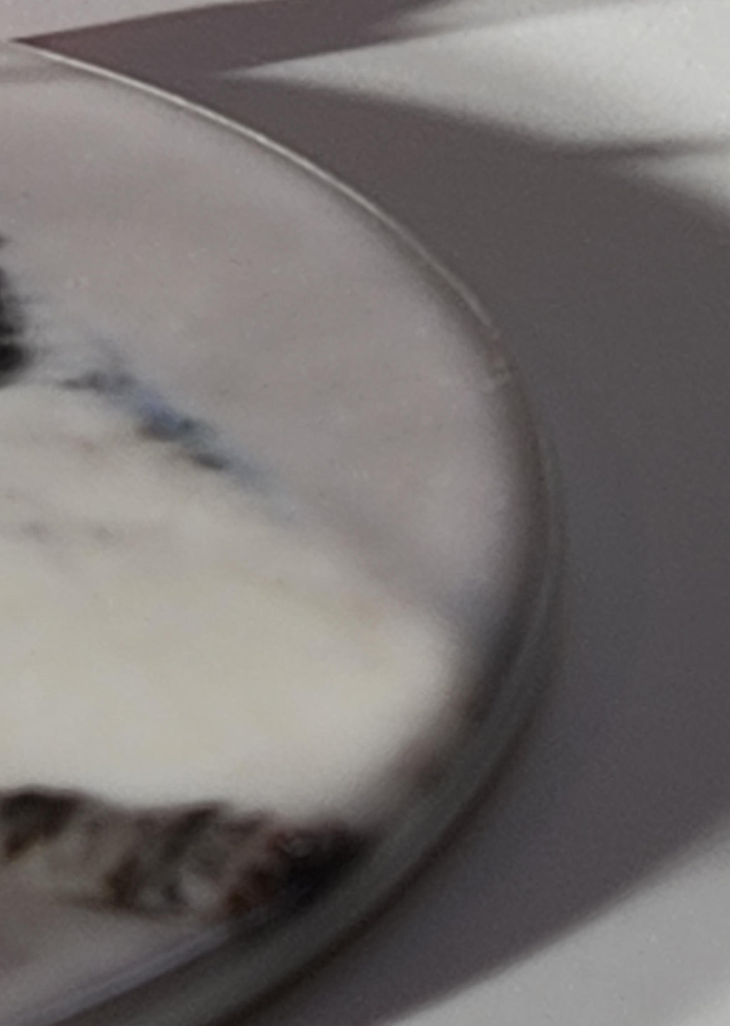 'Resilience' Ceramic Ornament image 4