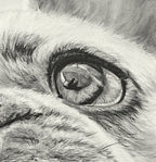 French Bulldog Pastel Original "I See You" Framed image 3