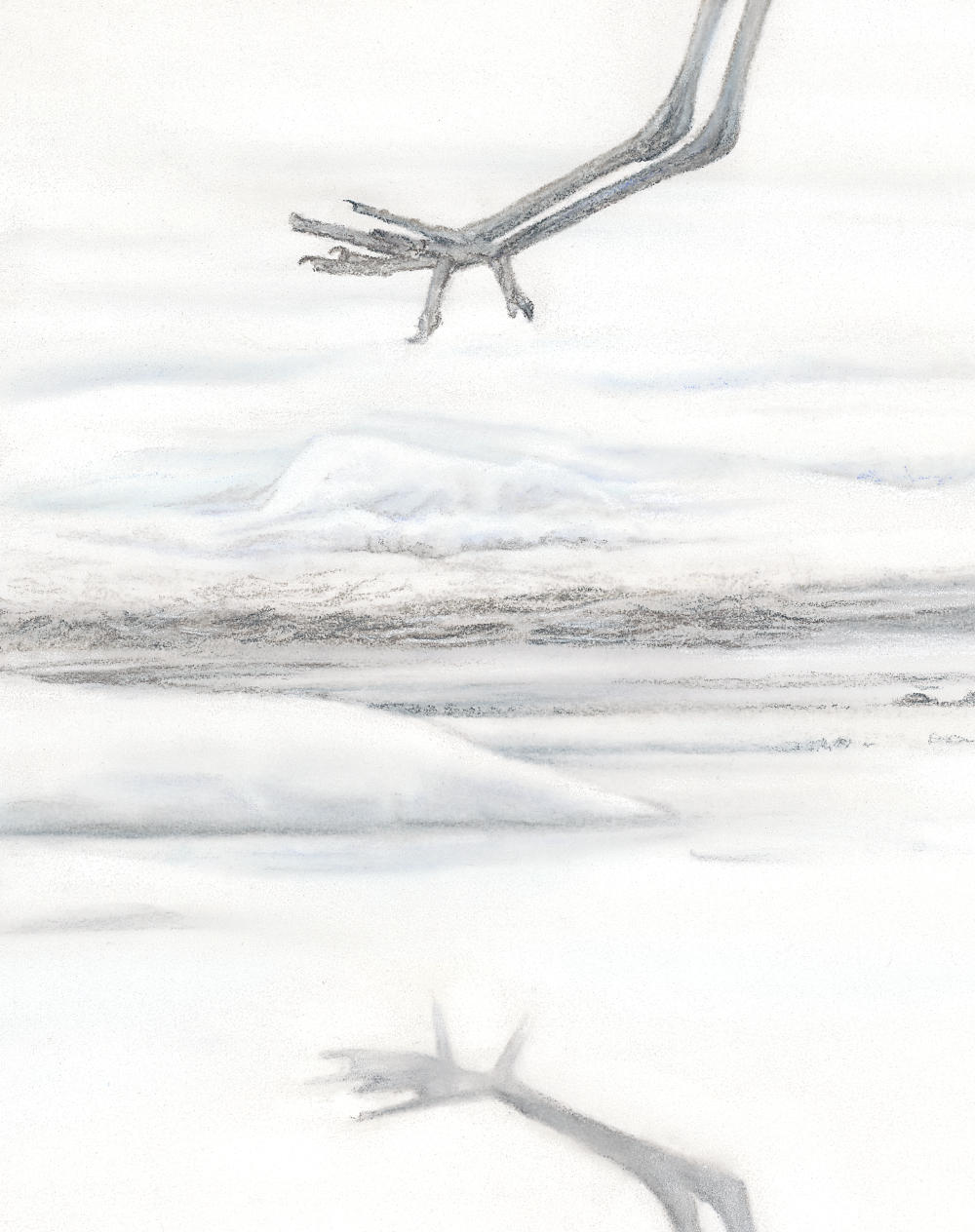 "The Art of Landing" 11 x 14" Pastel on pastelmat image 2