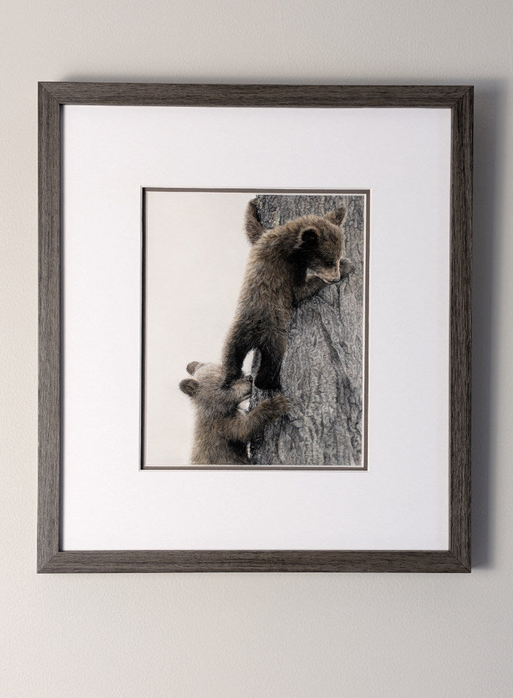 Framed artwork of two bear cubs climbing a tree on a white background
