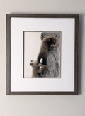 Framed artwork of two bear cubs climbing a tree on a white background