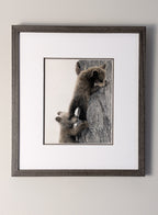 Framed artwork of two bear cubs climbing a tree on a white background