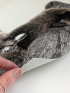 'With Me' Bear Cubs Fine Art Print