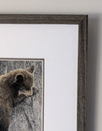 "With Me" 8x10" Framed Pastel Original of two Bear Cubs