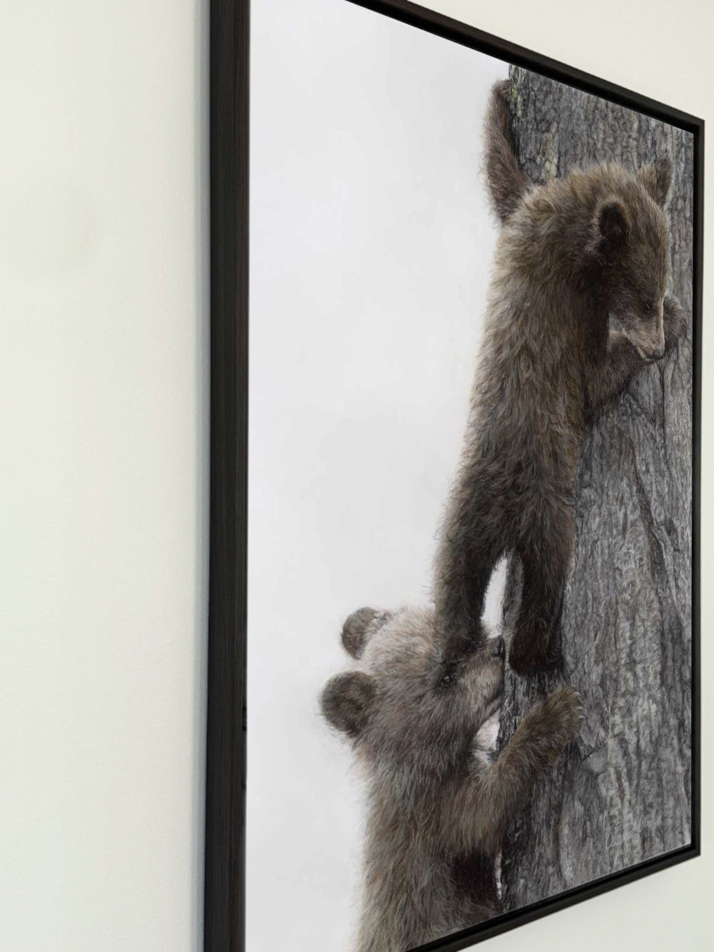 A framed canvasprint of two brown bear cubs climbing a tree, shown hanging on a light-colored wall.
