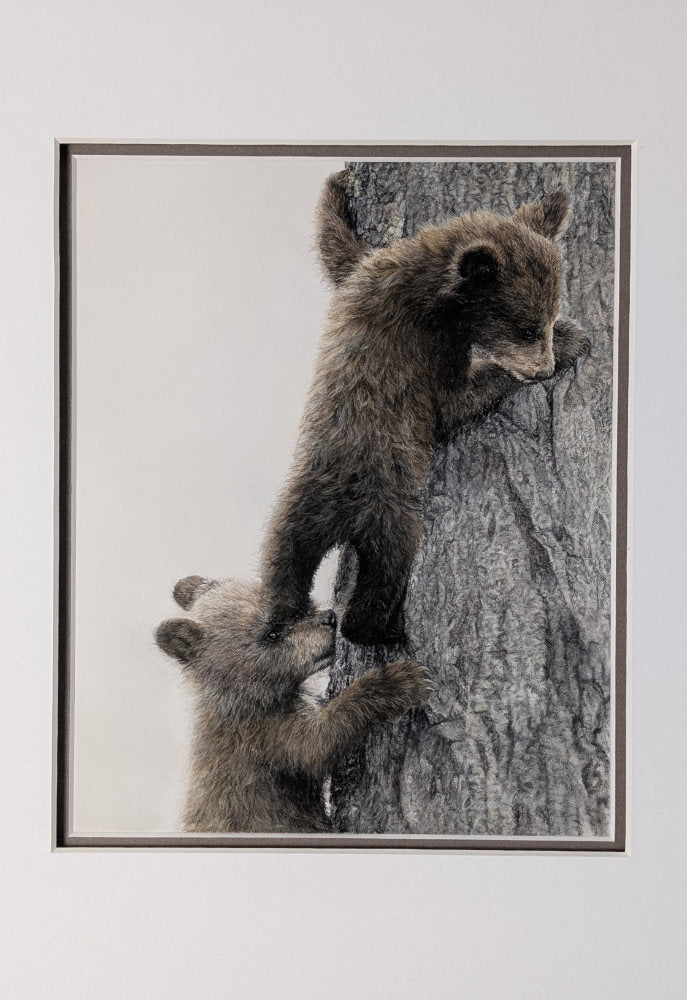 "With Me" 8x10" Framed Pastel Original of two Bear Cubs