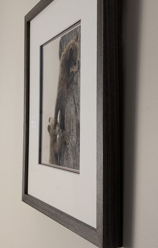 "With Me" 8x10" Framed Pastel Original of two Bear Cubs