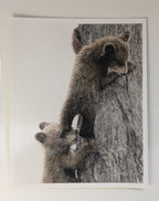 The original drawing of bear cubs on pastelmat 