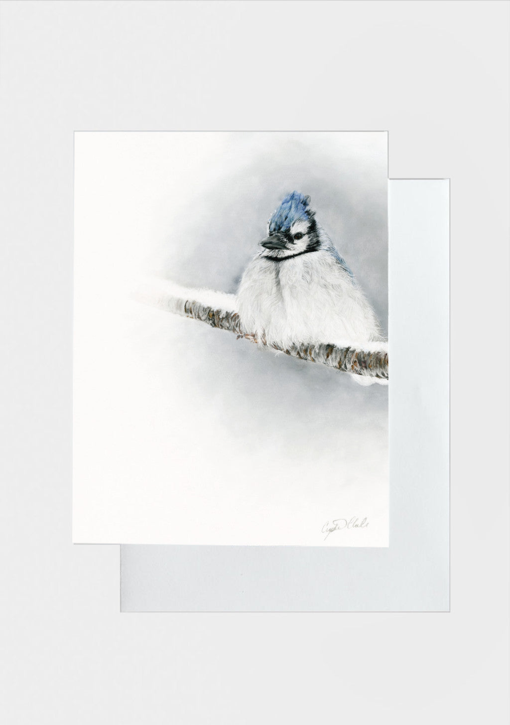 Resilience blue jay greeting card artwork by Crystal Clarke