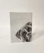 Greeting Card "Want to Play?" Boxer image 1