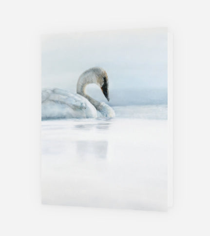 Greeting Card 'First Light' Swan image 0