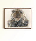 Canvas print of Fierce grizzly bear