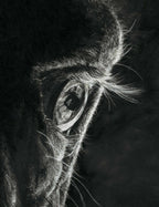 "A Loving Look Defined" 8x10" Framed Pastel Original image 1