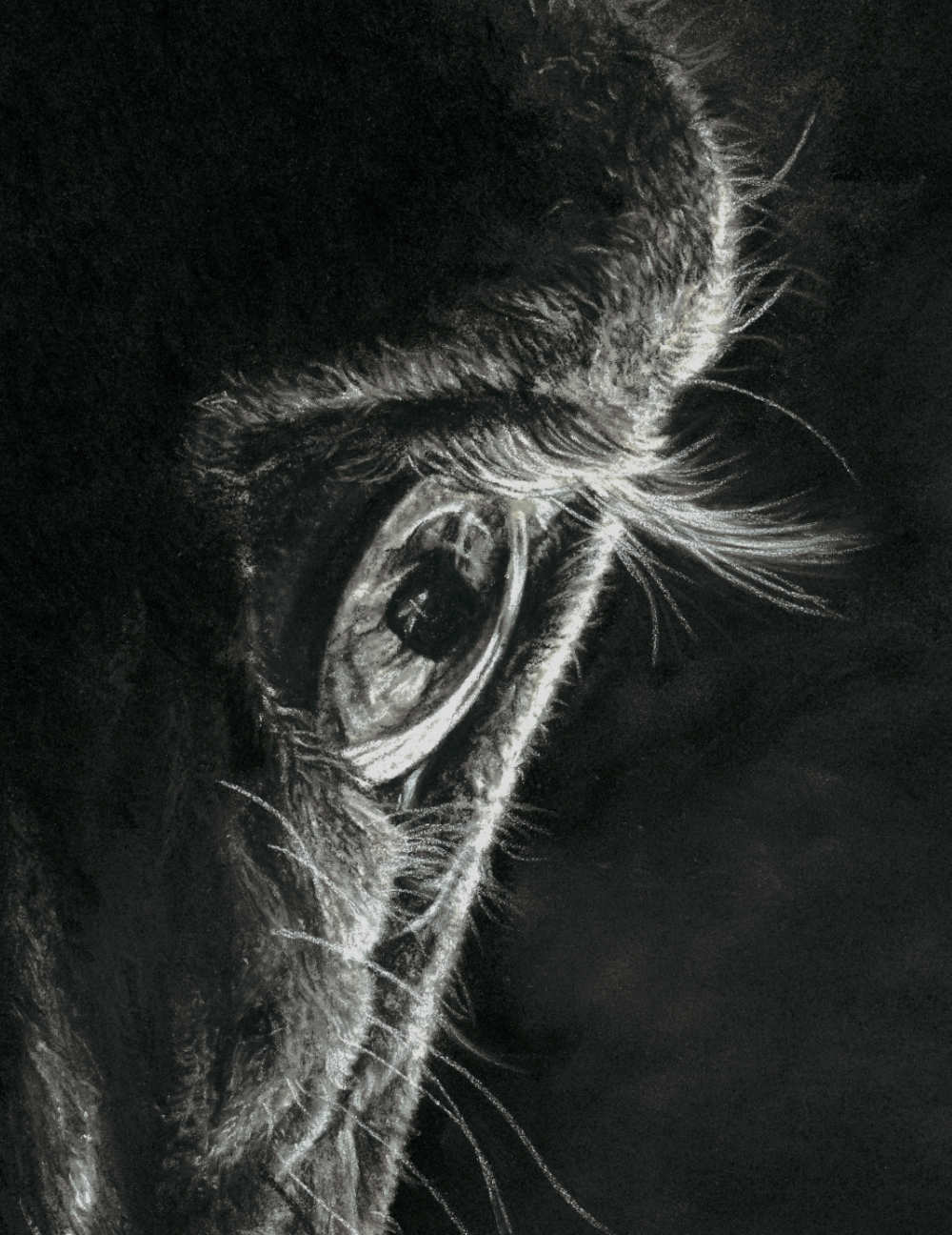 "A Loving Look Defined" 8x10" Framed Pastel Original image 1