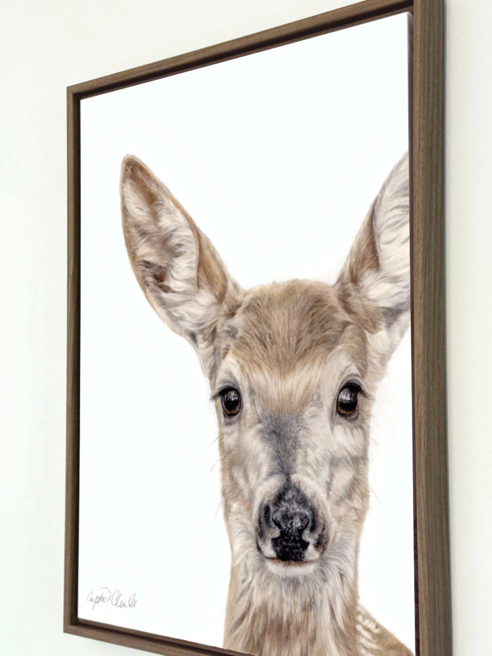 Canvas print of deer drawing by Crystal Clarke in brown oak frame