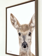 Canvas print of deer drawing by Crystal Clarke in brown oak frame