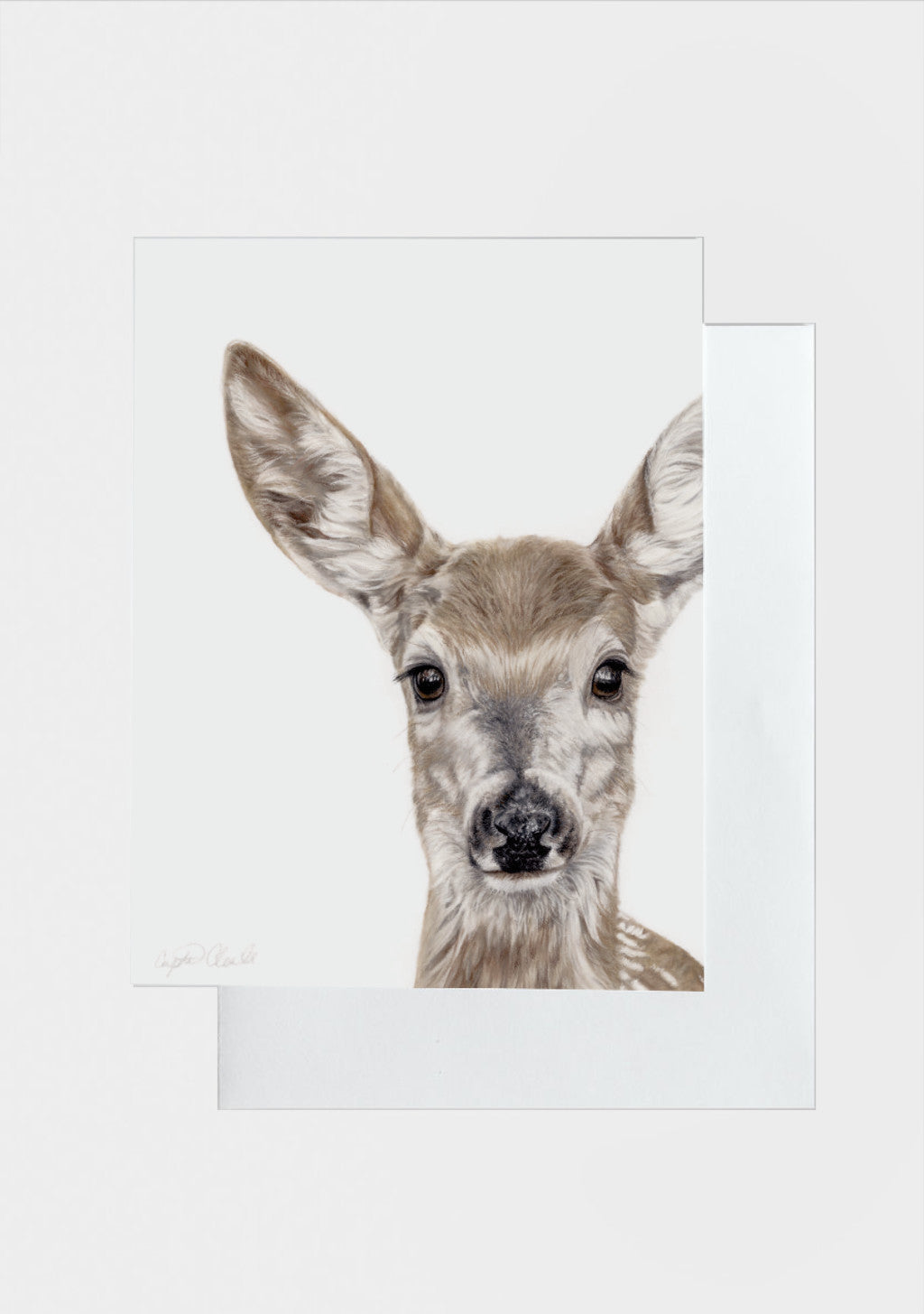 Greeting Card 'Grace' the deer