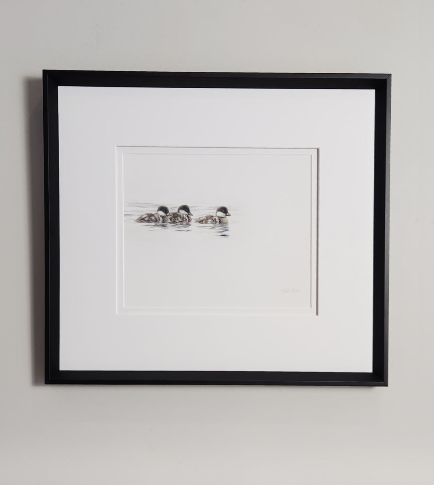 Framed artwork of ducks on water against a plain background