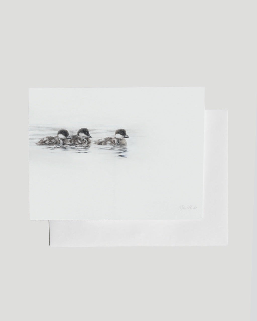 drawing of three ducklings swimming in water  greeting card
