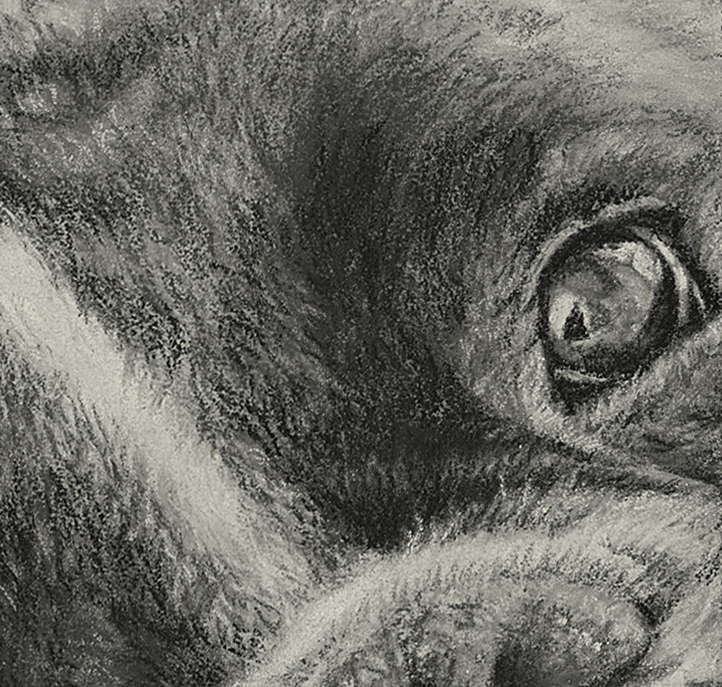 Framed Pastel Original "Want to Play?" 8x10 image 1