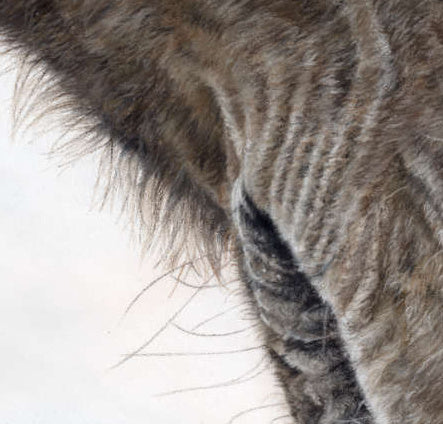 Framed Pastel Original 'Never Say Goodbye' image 3