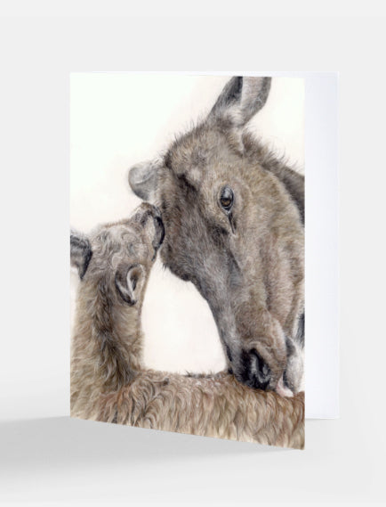Greeting Card "I'll Love You Forever" Elk and calf