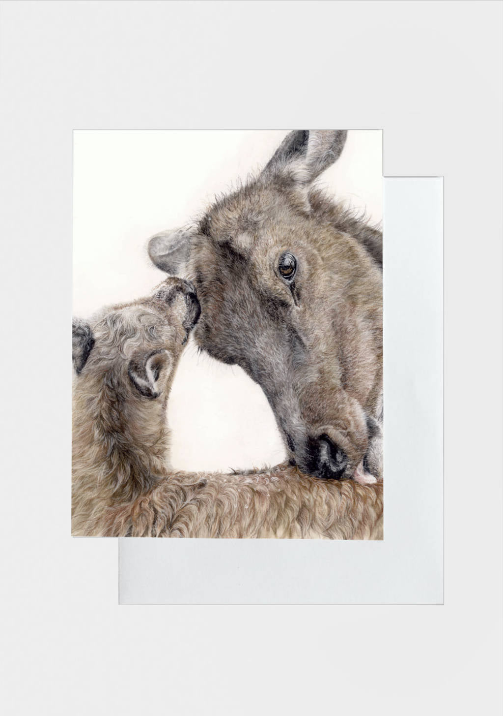 Greeting Card "I'll Love You Forever" Elk and calf