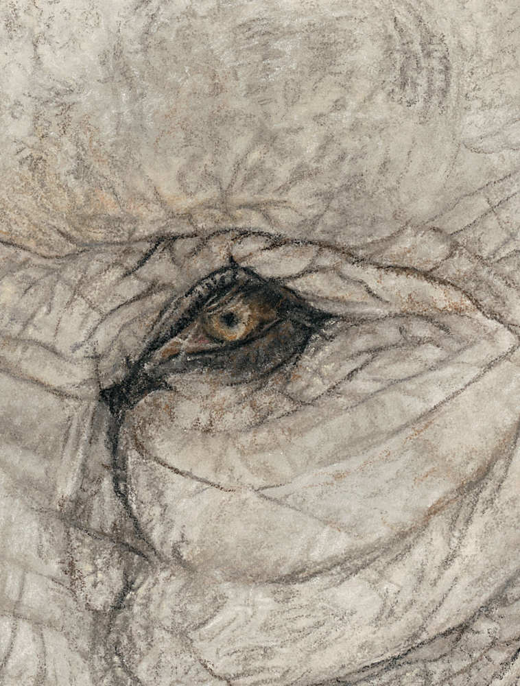 Close-up of a detailed pastel drawing of an eye with a textured background