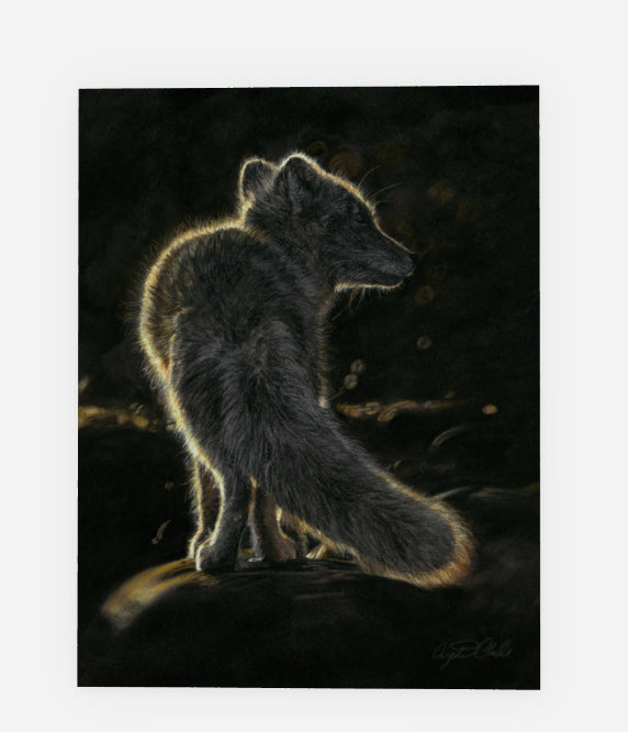 Greeting Card 'Light After Darkness' Arctic Fox image 0
