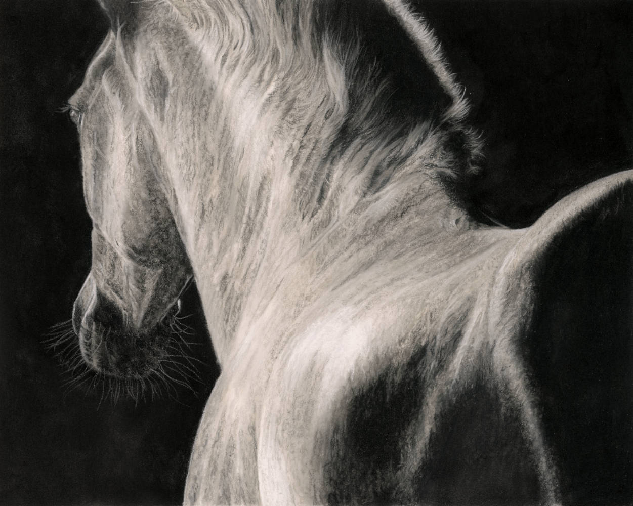 Pastel Original 'In the Rising Darkness' image 3