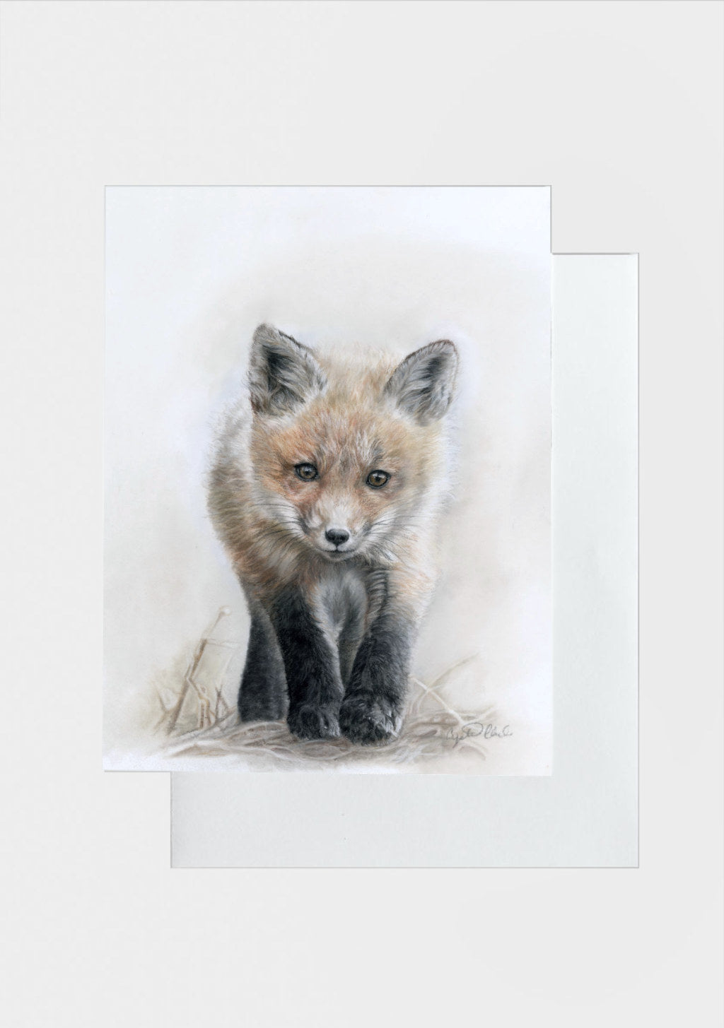 Illustration of a fox cub on a white background