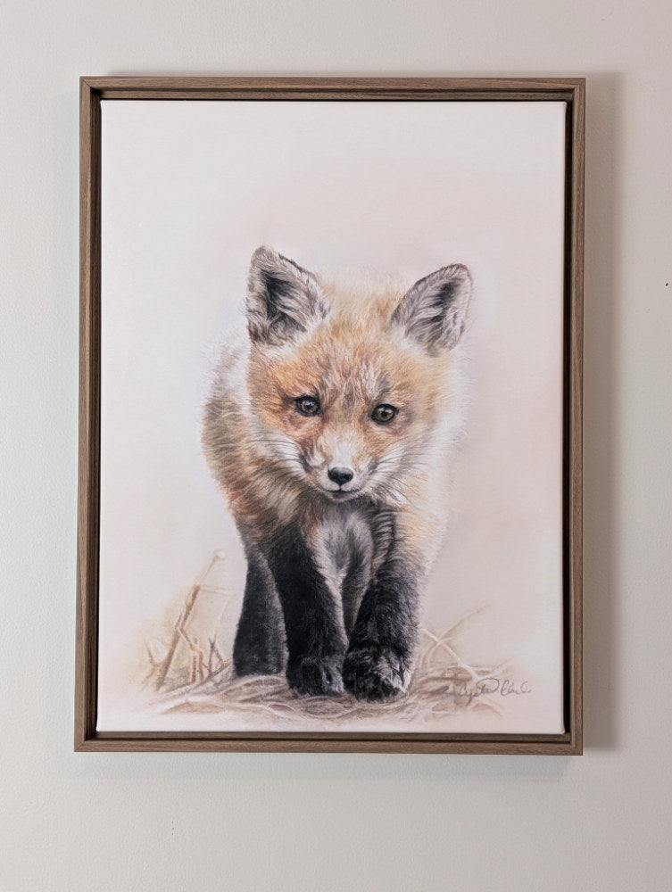 Framed artwork of a fox cub drawing 
on a white wall