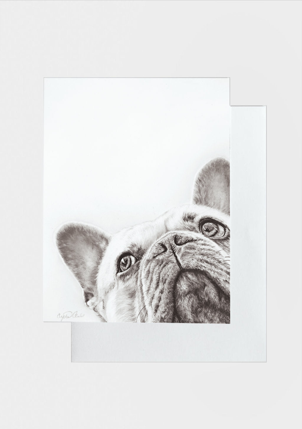 Artwork of a french bulldog's face on a white background greeting card