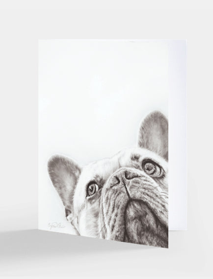 Greeting card with a drawing of a French Bulldog on a white background