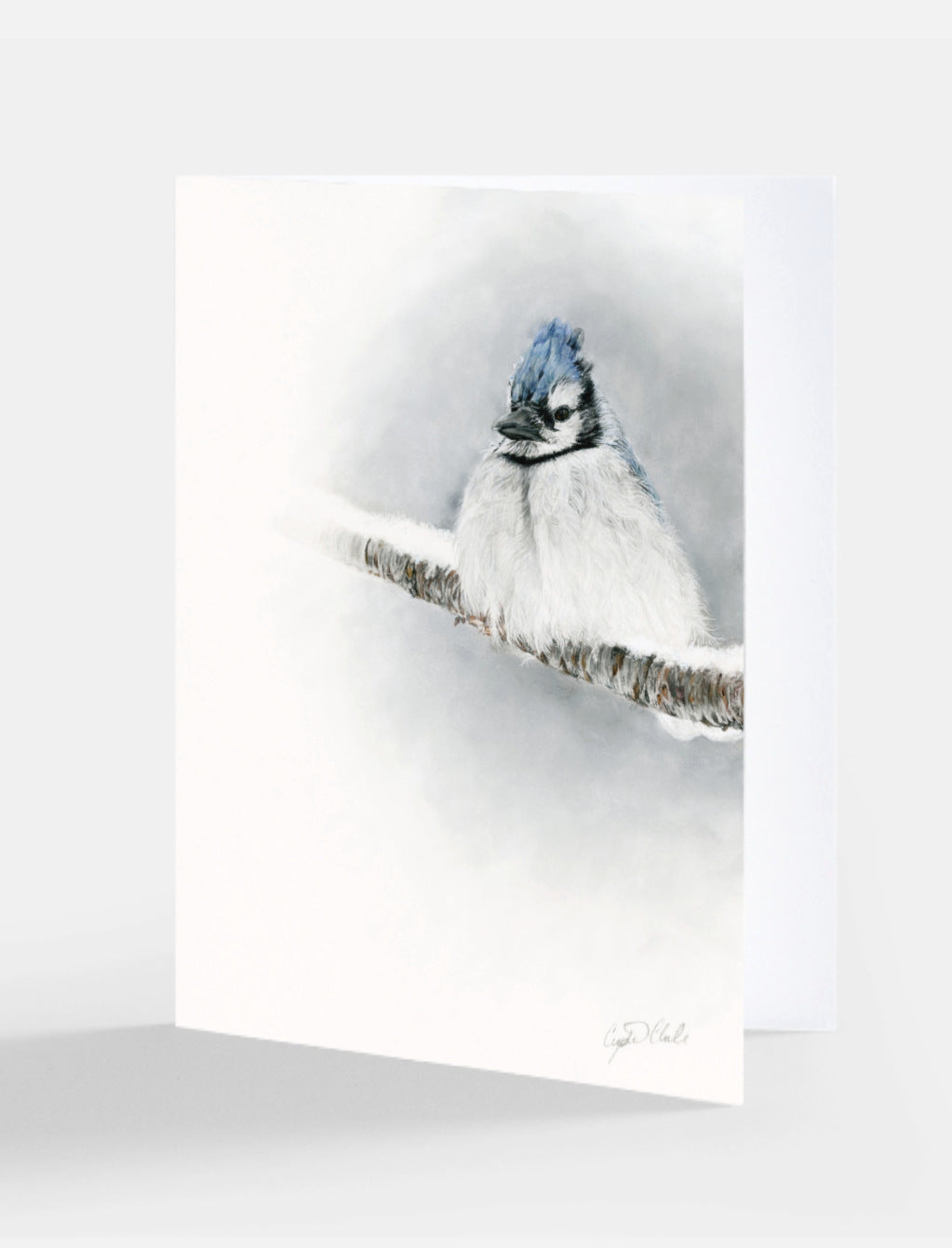 Greeting Card 'Resilience' blue jay