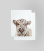 Greeting Card 'Effie' the Highland Cow image 1