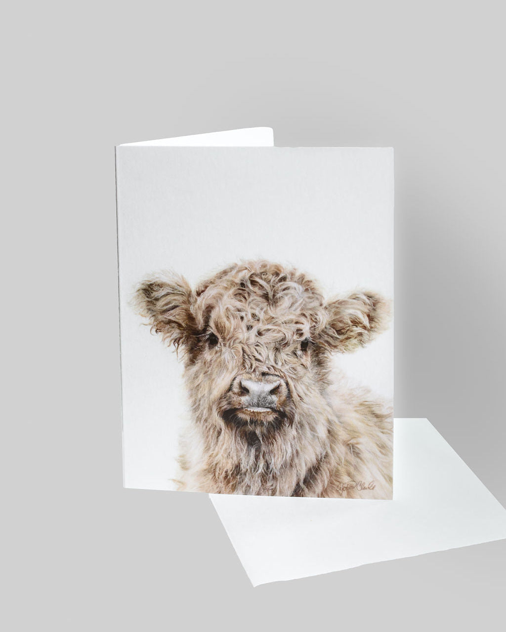 Greeting Card 'Effie' the Highland Cow image 0